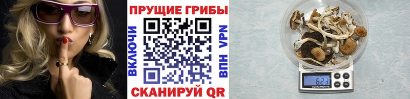 Псилоцибиновые грибы Magic Shrooms  Вилюйск 